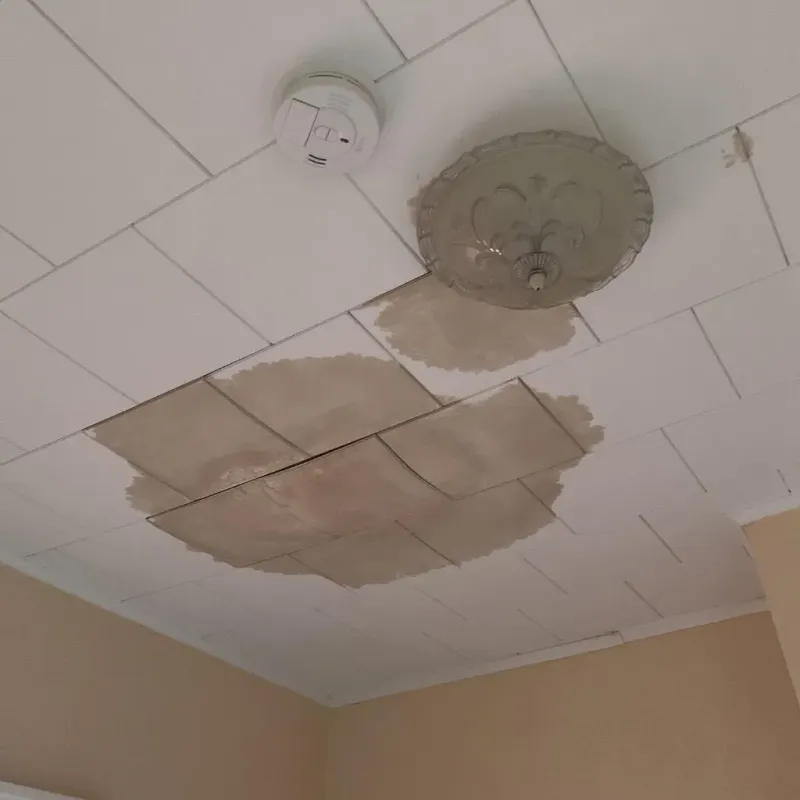 Ceiling Water Damage Repair in Flat Rock, NC