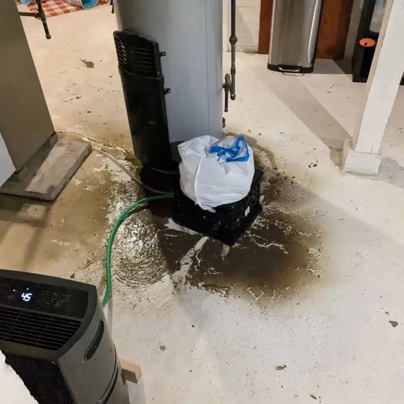 Sewage Backup Cleanup Service in Flat Rock, NC